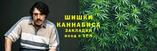стафф Медногорск