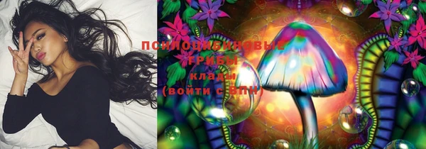 ешки Козельск