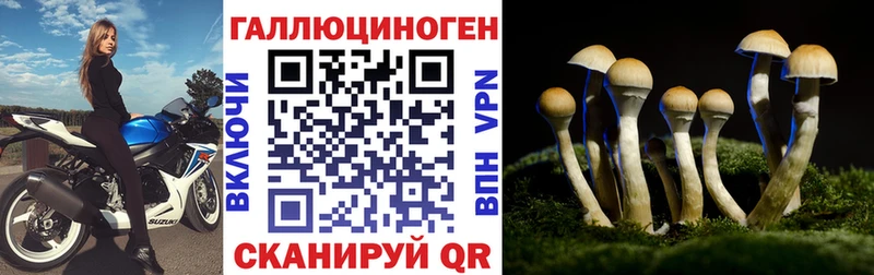 Галлюциногенные грибы Psilocybe  Нижний Новгород 