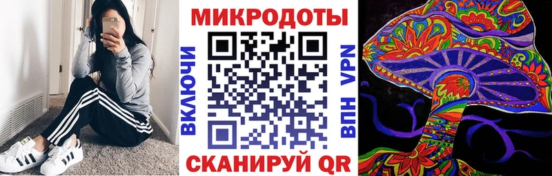 Псилоцибиновые грибы Cubensis Нижний Новгород