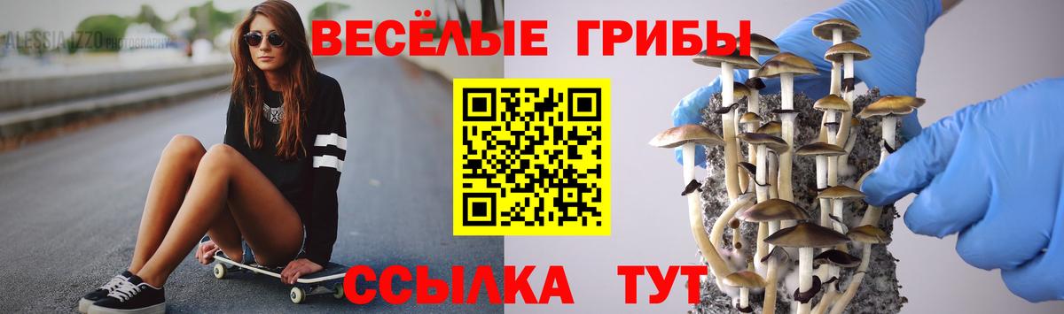 Псилоцибиновые грибы GOLDEN TEACHER  Нижний Новгород 